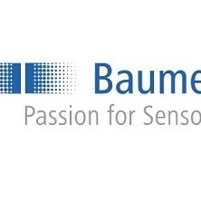 Logo_BAUMER_333